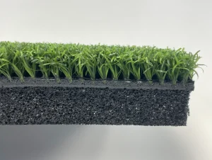 Bentgrass Side view close