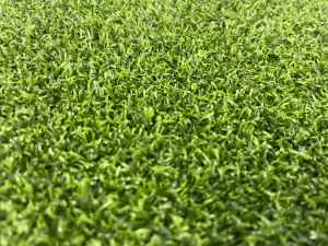 Bentgrass Super Close