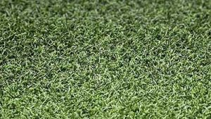 close-shot-eagle-putt.jpg