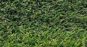 close-shot-hillside.jpg