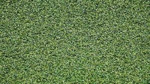 close-shot-multi-sport.jpg
