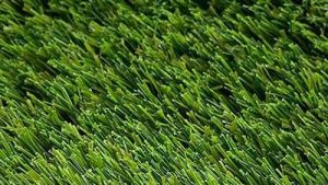 close-shot-performance-play.jpg