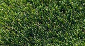 close-shot-pine-valley.jpg