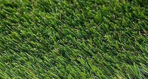 close-shot-play-zone-plus.jpg