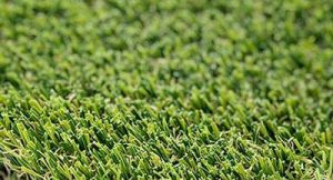 close-shot-sawgrass.jpg