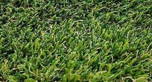 close-shot-st-andrews.jpg