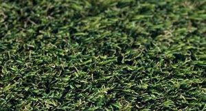 close-shot-troon.jpg