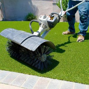 pet-gallery-6.jpg