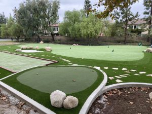 putting-turf-4-scaled-1.jpg