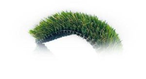side-shot-first-cut.jpg