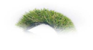 side-shot-pine-valley.jpg